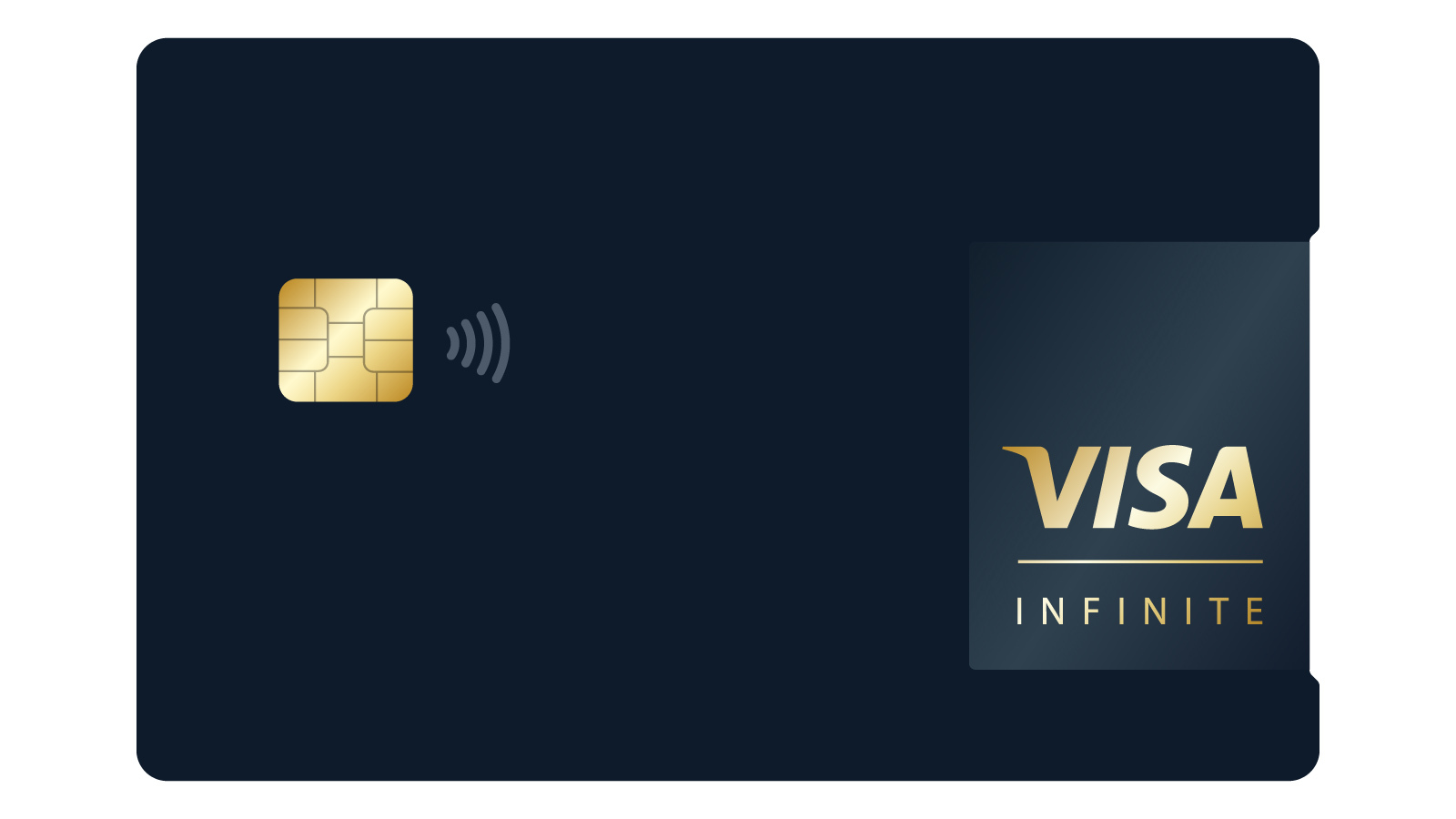 Visa Premium Infinite